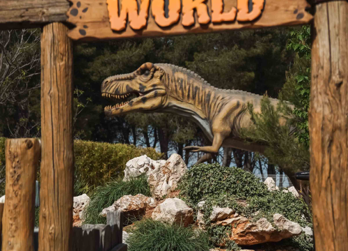 Fotografija 5 - Poliklinika Affidea Vita svojim pacijenticama poklanja besplatne preglede dojki!