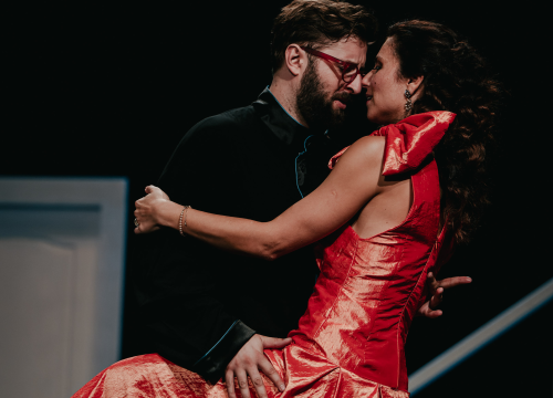 Fotografija 8 - Dođi gola na večeru: Nova predstava šibenskog kazališta humorom šamara gledatelje!