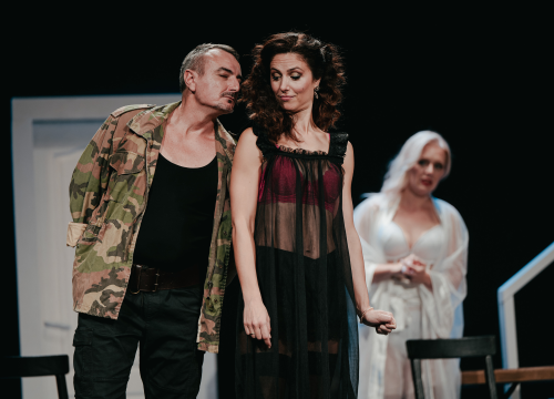 Fotografija 10 - Dođi gola na večeru: Nova predstava šibenskog kazališta humorom šamara gledatelje!