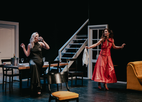 Fotografija 11 - Dođi gola na večeru: Nova predstava šibenskog kazališta humorom šamara gledatelje!