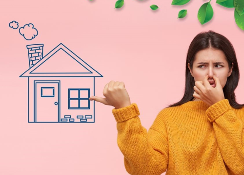 Pobrinite se za svoje zdravlje: Riješite se prekomjerne vlage i plijesni u svom domu!