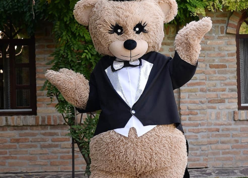 Fotografija 8 - Medo ljubavi stigao je u Šibenik i uljepšat će svako vaše slavlje!