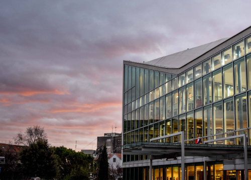 Sunce Dalmacije: U Gradskoj knjižnici izlaže mlada ukrajinska umjetnica