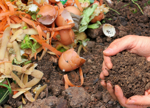 Želite smanjiti količinu komunalnog otpada? Pročitajte upute za kompostiranje!