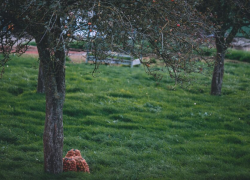 Klimatske promjene donijele ogromne poremećaje u proizvodnji hrane u Hrvatskoj