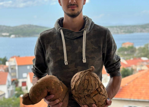 Fotografija 2 -  Obitelj Beader na Petrovom polju uzgojila batat težak 4,2 kilograma: 'Ovaj kraj ima toliko neiskorištenog potencijala'