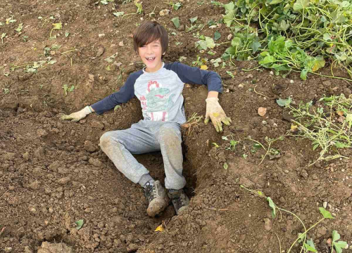 Fotografija 3 -  Obitelj Beader na Petrovom polju uzgojila batat težak 4,2 kilograma: 'Ovaj kraj ima toliko neiskorištenog potencijala'