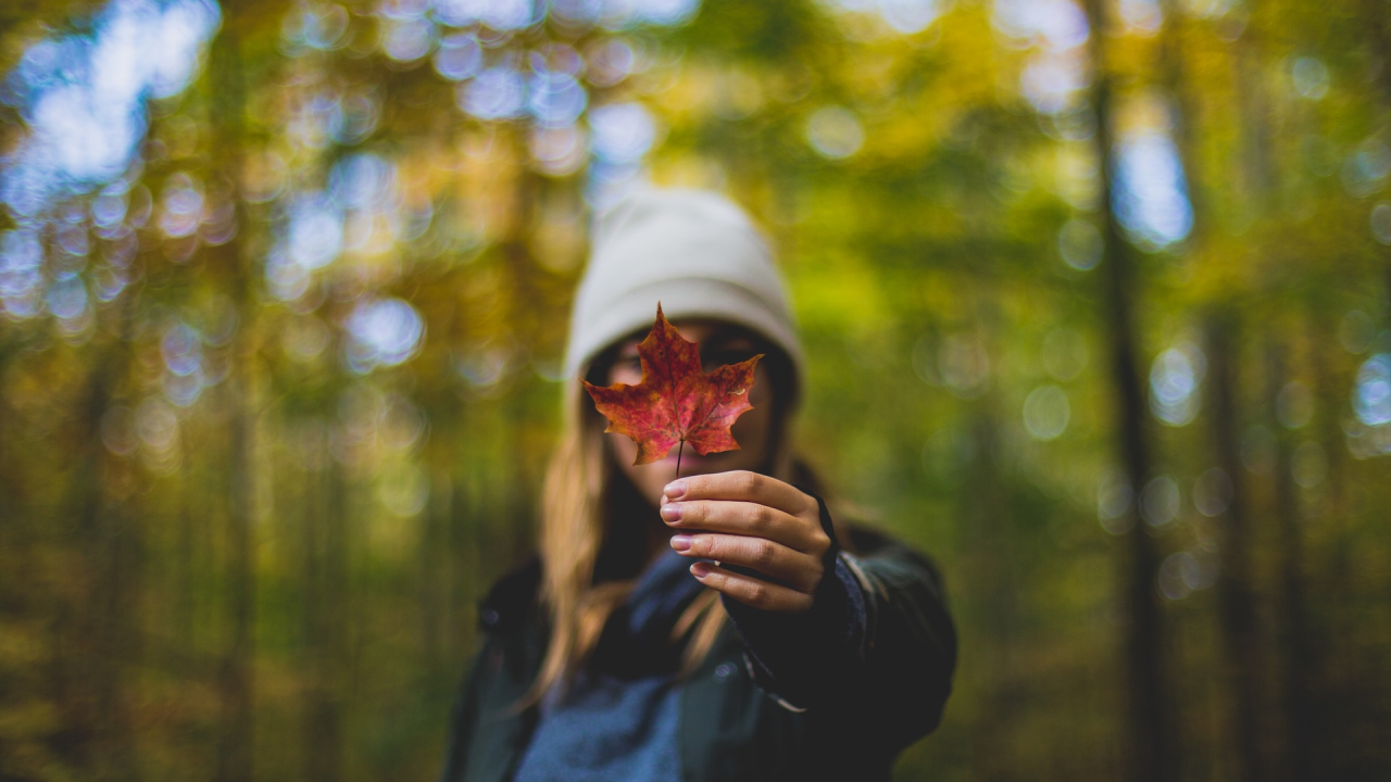 Provjerite što vaš horoskopski znak očekuje u studenom