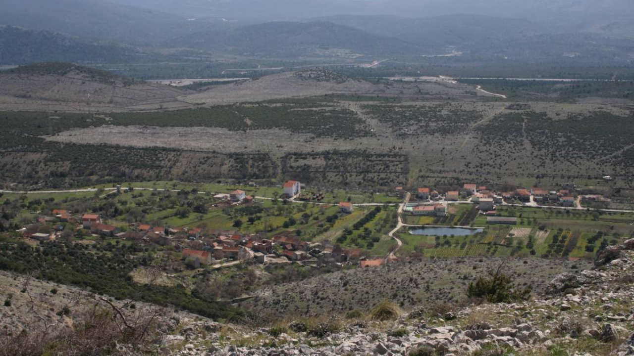 Iluzija o Danilu ili Danilo kao iluzija