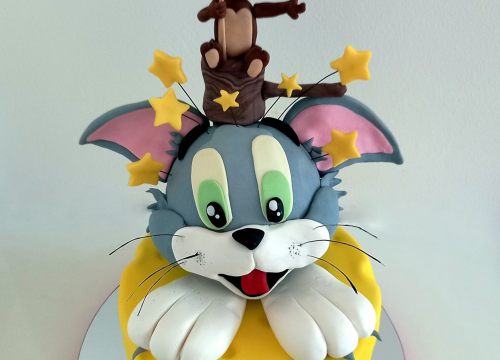 Fotografija 7 - Josipa je ekonomiju zamijenila slastičarstvom i ljubav prema tortama pretvorila u posao: 'Obitelj mi je najveća podrška'