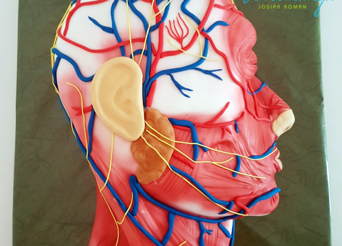 Fotografija 11 - Josipa je ekonomiju zamijenila slastičarstvom i ljubav prema tortama pretvorila u posao: 'Obitelj mi je najveća podrška'