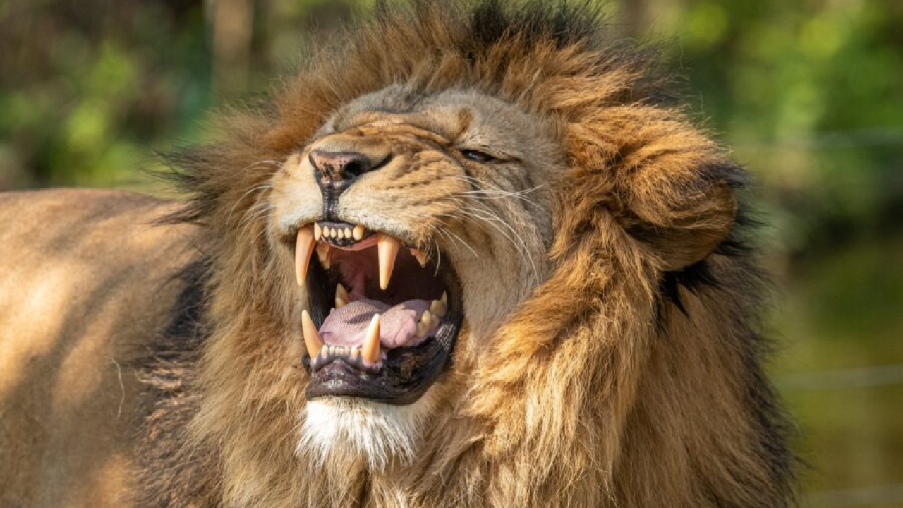 Ovo su najmoćniji horoskopski znakovi!