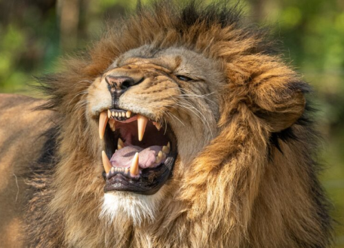 Ovo su najmoćniji horoskopski znakovi!