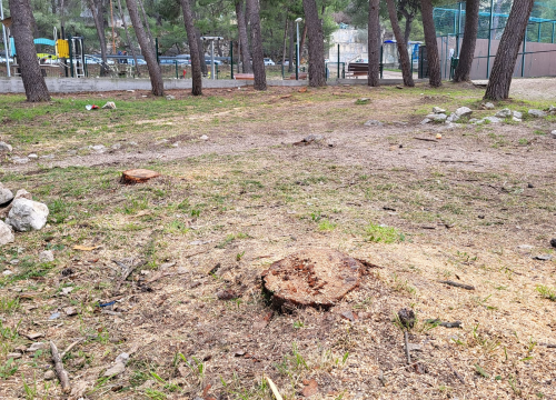Fotografija 9 - 'Masakr' u parku Rasadnik na Vidicima: Sječe li Zeleni grad stabla mimo studije koju je naručio Grad?
