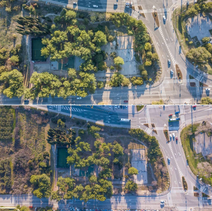 'Masakr' u parku Rasadnik na Vidicima: Sječe li Zeleni grad stabla mimo studije koju je naručio Grad?