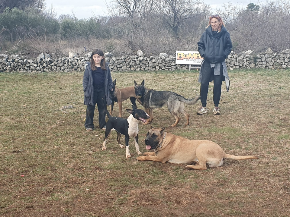 Marko Aleksić, interventni policajac i trener pasa: 'Odgoj psa treba shvatiti ozbiljno, a veću ljubav u životu nećete dobiti'