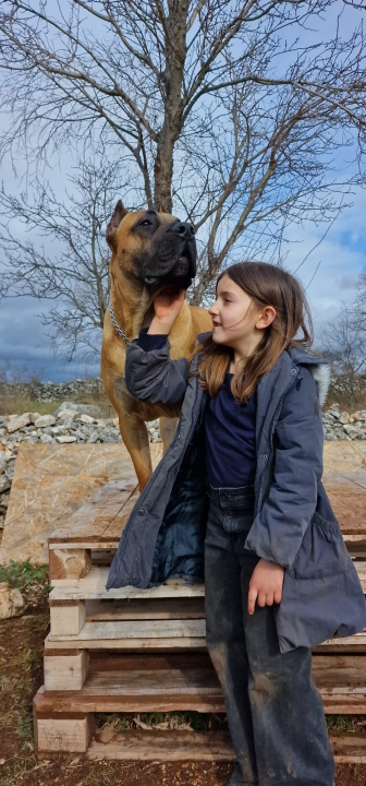 Marko Aleksić, interventni policajac i trener pasa: 'Odgoj psa treba shvatiti ozbiljno, a veću ljubav u životu nećete dobiti'