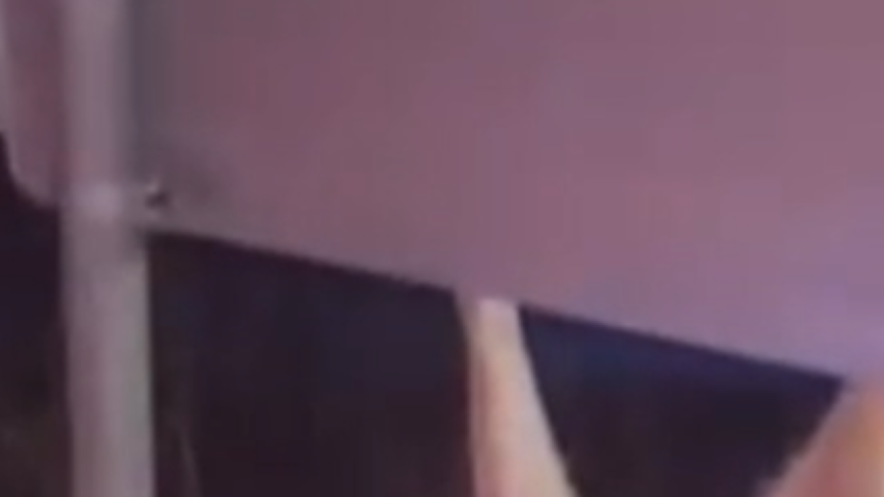 Užas kod Knina: Leš vučice bez glave objesili na mjesnu tablu