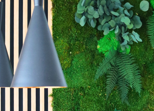 Fotografija 7 - Osvježite svoj prostor uz prirodne elemente šibenske tvrtke Tech Garden!