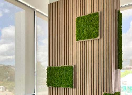 Fotografija 8 - Osvježite svoj prostor uz prirodne elemente šibenske tvrtke Tech Garden!