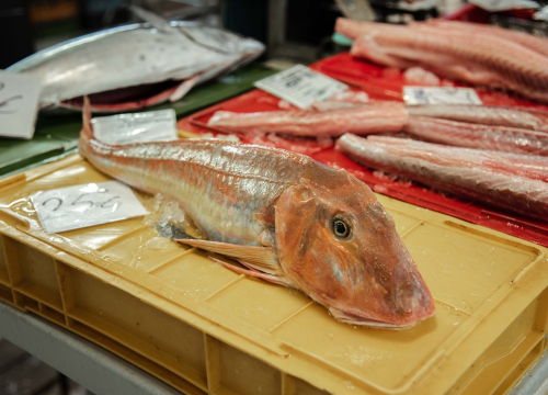 Fotografija 12 - Kakav dan, takva i ponuda: Južina i lovostaj nude depresiju na peškariji i pijaci