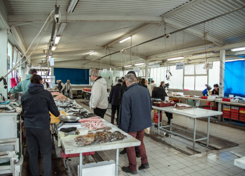 Fotografija 15 - Kakav dan, takva i ponuda: Južina i lovostaj nude depresiju na peškariji i pijaci