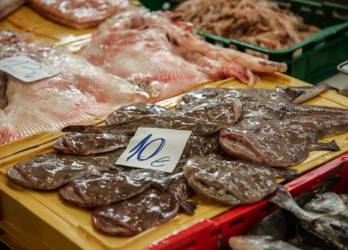 Fotografija 17 - Kakav dan, takva i ponuda: Južina i lovostaj nude depresiju na peškariji i pijaci