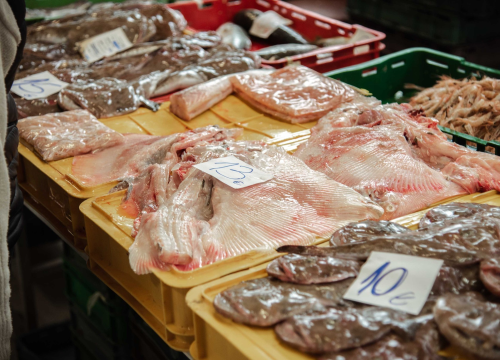 Fotografija 16 - Kakav dan, takva i ponuda: Južina i lovostaj nude depresiju na peškariji i pijaci