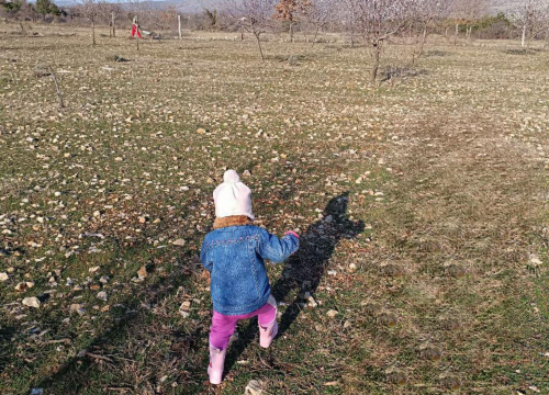 Fotografija 9 - Martin i supruga odlučili su ostati na selu i baviti se poljoprivredom: 'Na OPG-u u Petrovom polju radi cijela obitelj'