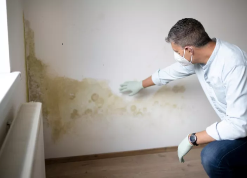 Fotografija 2 - Donosimo odgovore na pet najčešćih pitanja vezanih uz pojavu vlage ili plijesni u domovima!