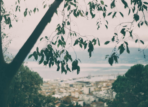 Nova prijava zbog pronevjere 24 tisuće eura na Ekonomskom fakultetu u Rijeci