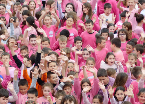 Fotografija 2 - U Osnovnoj školi Meterize obilježen 'Dan ružičastih majica'