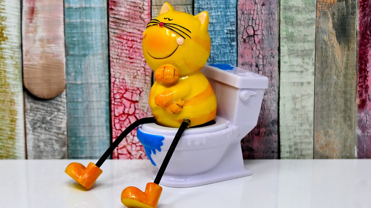 Uvijek spuštajte dasku od WC školjke, ima veze i s novcima