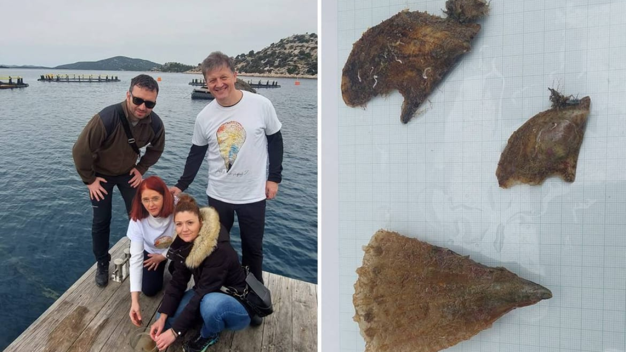 Kod uzgajališta u Tribunju tražili plemenite periske pa pronašli jedinke invazivne vrste