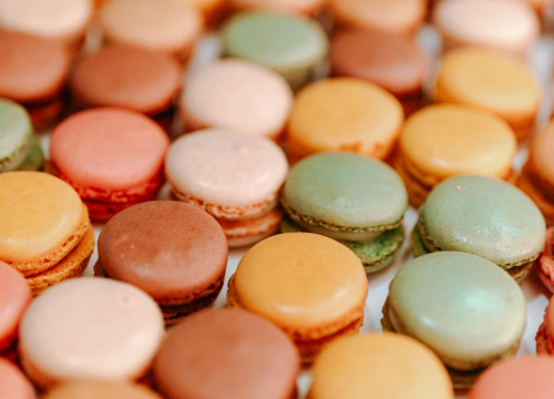 Fotografija 79 - Prvo mjesto drugog izdanja NKL-a osvojili đakovački gimnazijalci: Šibenčani ove godine bili treći i peti