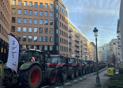 Fotografija 6 - Šibenčanka Jelena Jurić stažira u Bruxellesu: 'Stanovi su skupi, ali cijene hrane i režija niže su nego kod nas'