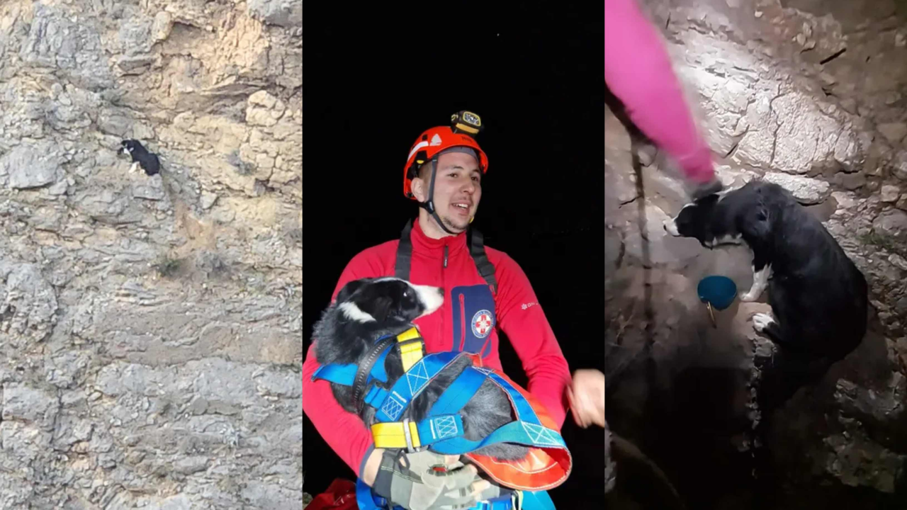 Zadarski HGSS spasio psa s litice starih rudnika boksita u Jasenicama