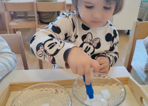 Fotografija 6 - U DV Tamaris obilježili Svjetski dan voda