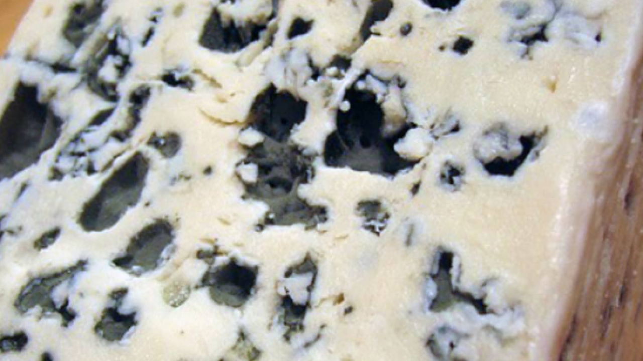 Što kada sir postane pljesniv? Slučajevi u kojima ga ne smijemo jesti