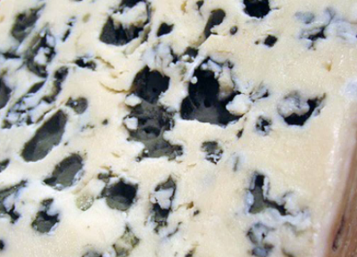 Što kada sir postane pljesniv? Slučajevi u kojima ga ne smijemo jesti