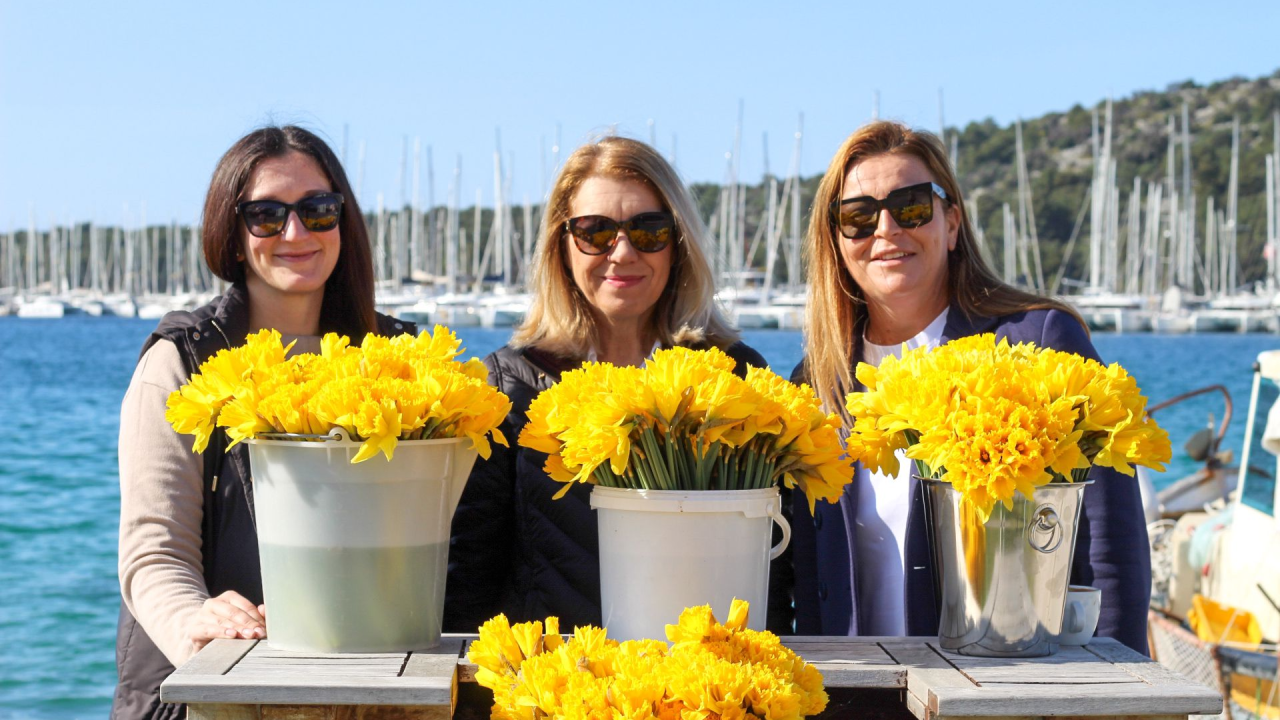 Dan narcisa obilježen u Rogoznici