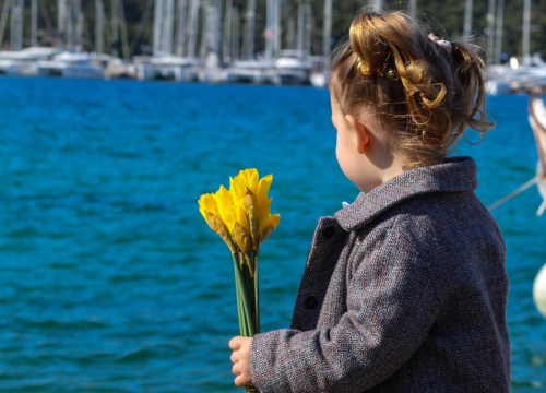 Fotografija 2 - Dan narcisa obilježen u Rogoznici