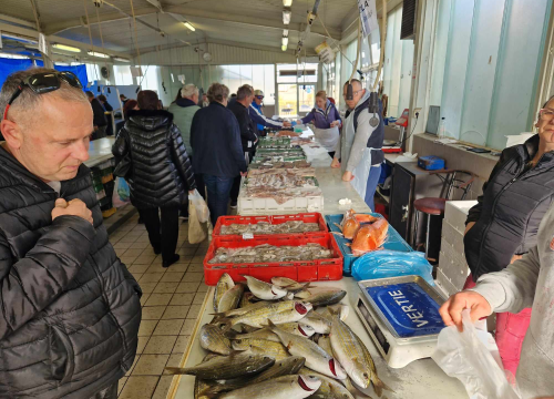 Jugo učinilo svoje: Ne baš bogata ponuda ribe na šibenskoj peškariji na Veliki petak