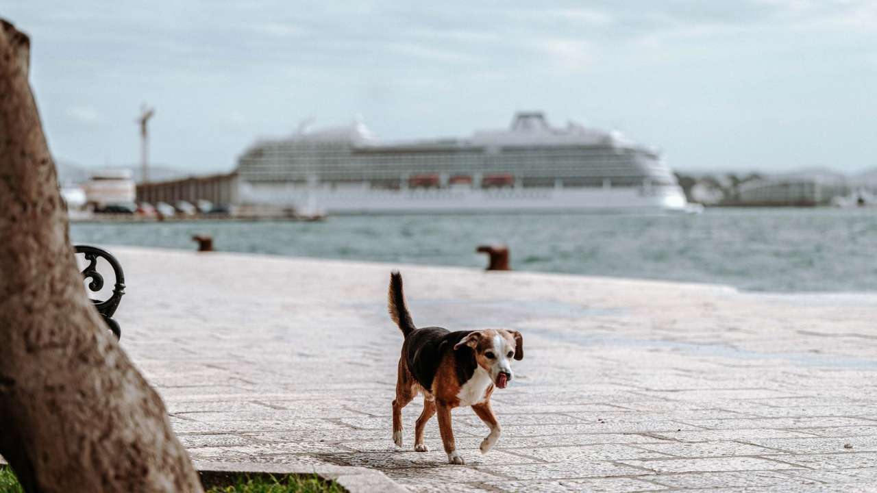 Uskrs većinom suh, djelomice sunčan, vjetrovit i neuobičajeno topao