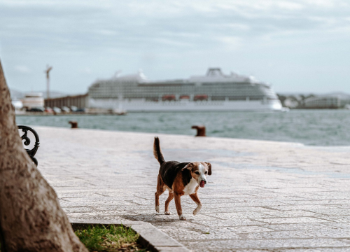 Uskrs većinom suh, djelomice sunčan, vjetrovit i neuobičajeno topao
