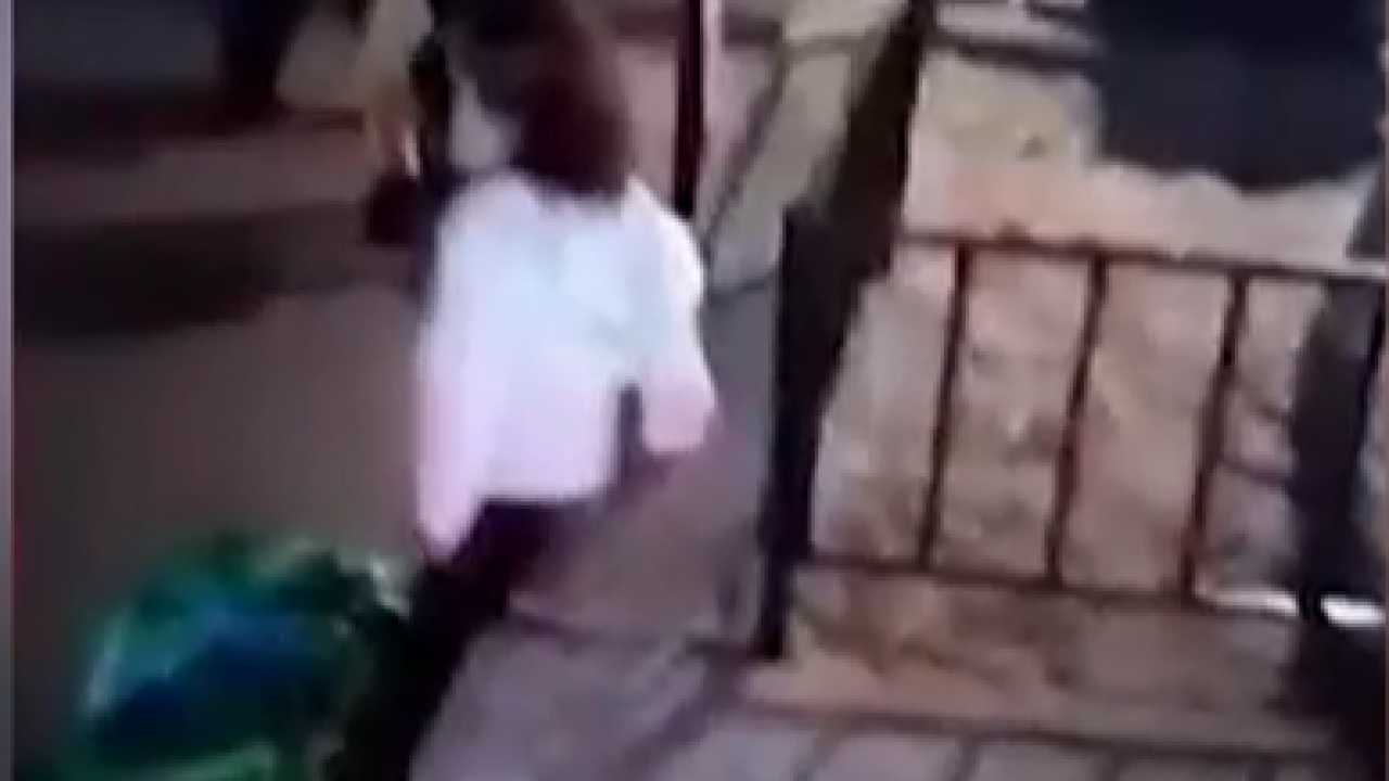 Dvogodišnja Danka viđena u Beču? Policija istražuje snimku