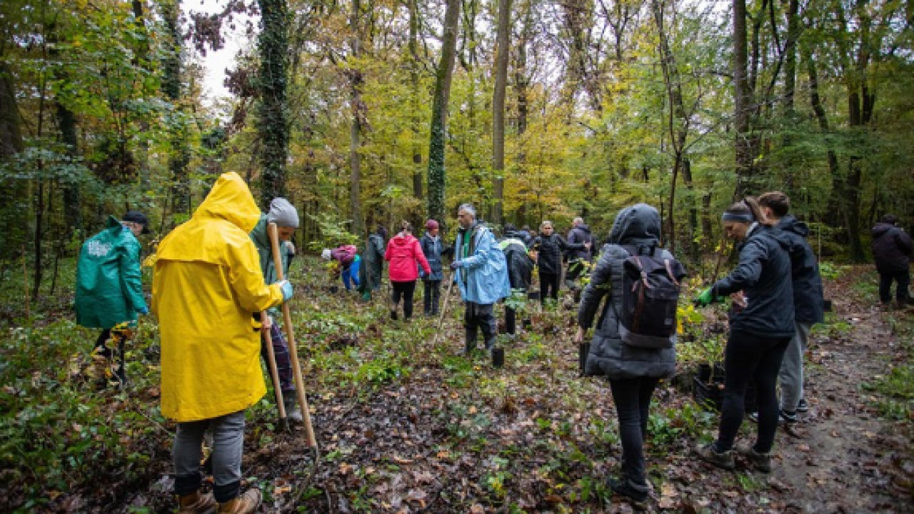 Iz Fonda za zaštitu okoliša 17 milijuna eura za projekte prilagodbe klimatskim promjenama