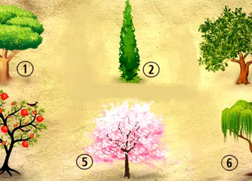 Koje bi stablo posadili u svom vrtu?