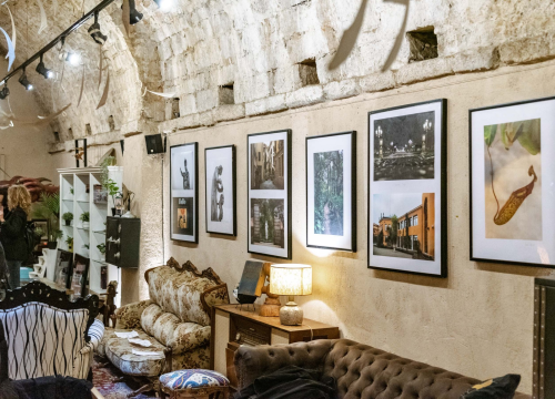 Fotografija 6 - Najavljena treća Flora Dalmatica: 'Roberto Visiani mora ponovno postati zaslužni sin Šibenika'