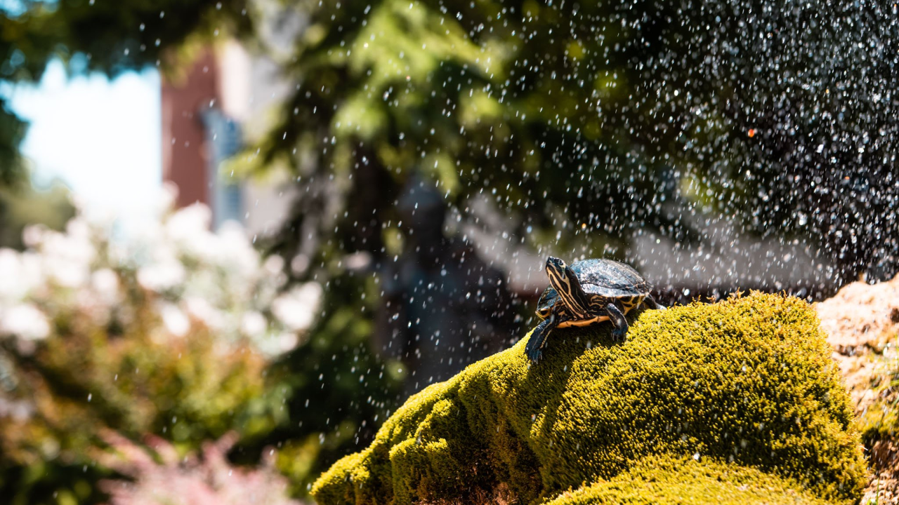 Zemlja ruši globalne toplinske rekorde deseti mjesec zaredom
